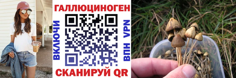 Псилоцибиновые грибы Cubensis купить закладку Нягань